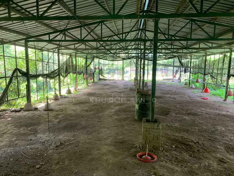 Tanah Pertanian untuk Dijual di Sepang (Selangor) - H.K Ching - Exterior - PropertyGuru.com.my