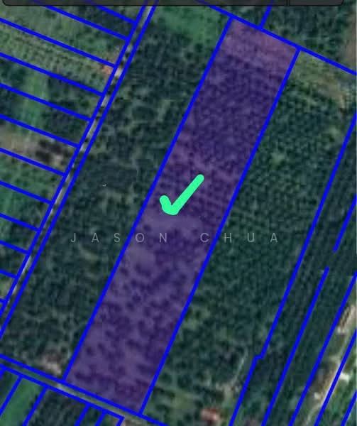 Agricultural Land for Sale in Bandar Bagan Serai (Bagan Serai) - Jason Chua - PropertyGuru.com.my