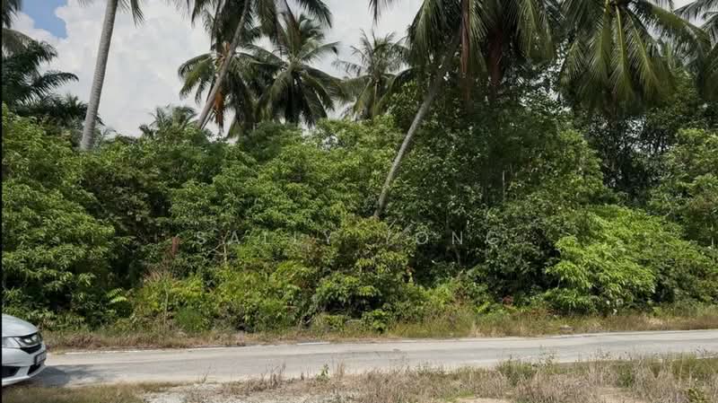 Tanah Pertanian untuk Dijual di Kampung Perepat (Kapar) - Sally Yong - Exterior - PropertyGuru.com.my