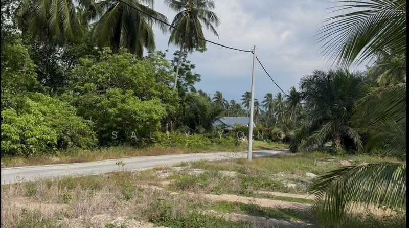 Tanah Pertanian untuk Dijual di Kampung Perepat (Kapar) - Sally Yong - Exterior - PropertyGuru.com.my