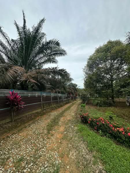 Agricultural Land for Sale in Sedenak (Johor) - Jessie Tan - Exterior - PropertyGuru.com.my