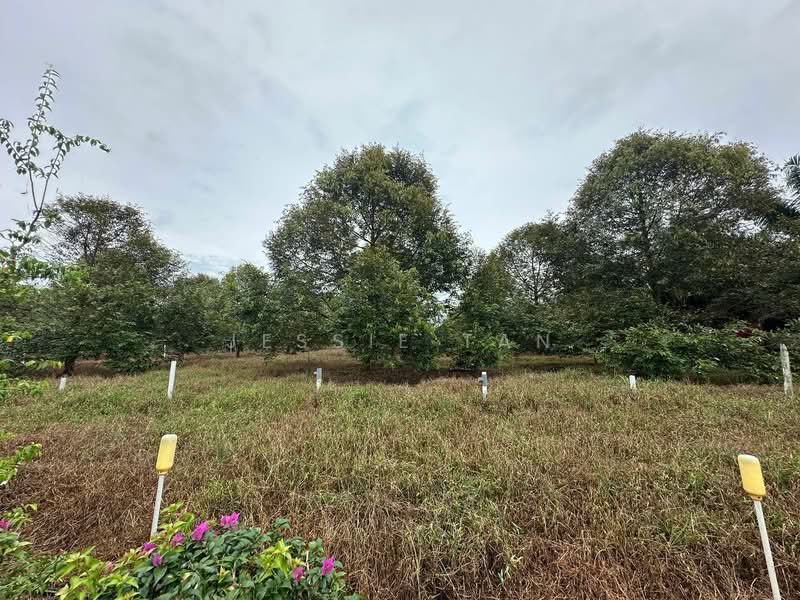 Agricultural Land for Sale in Sedenak (Johor) - Jessie Tan - Garden - PropertyGuru.com.my