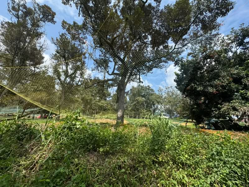 Agricultural Land for Sale in Sungai Tiram (Ulu Tiram) - Jessie Tan - Exterior - PropertyGuru.com.my