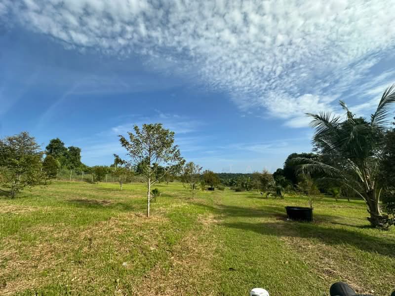 Agricultural Land for Sale in Sungai Tiram (Ulu Tiram) - Jessie Tan - Garden - PropertyGuru.com.my