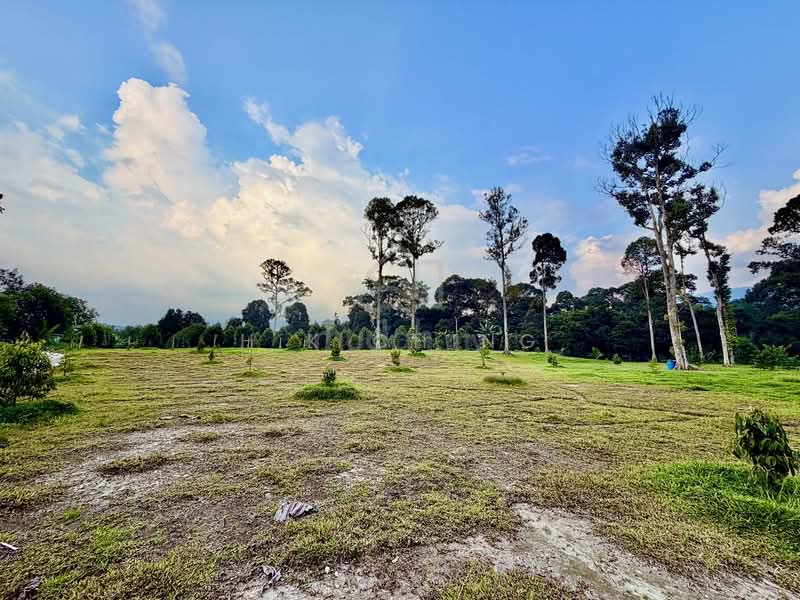 Tanah Pertanian untuk Dijual di Batang Kali (Rawang) - H.K Ching - Garden - PropertyGuru.com.my