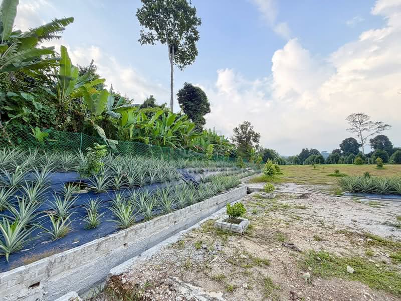 Tanah Pertanian untuk Dijual di Batang Kali (Rawang) - H.K Ching - Garden - PropertyGuru.com.my