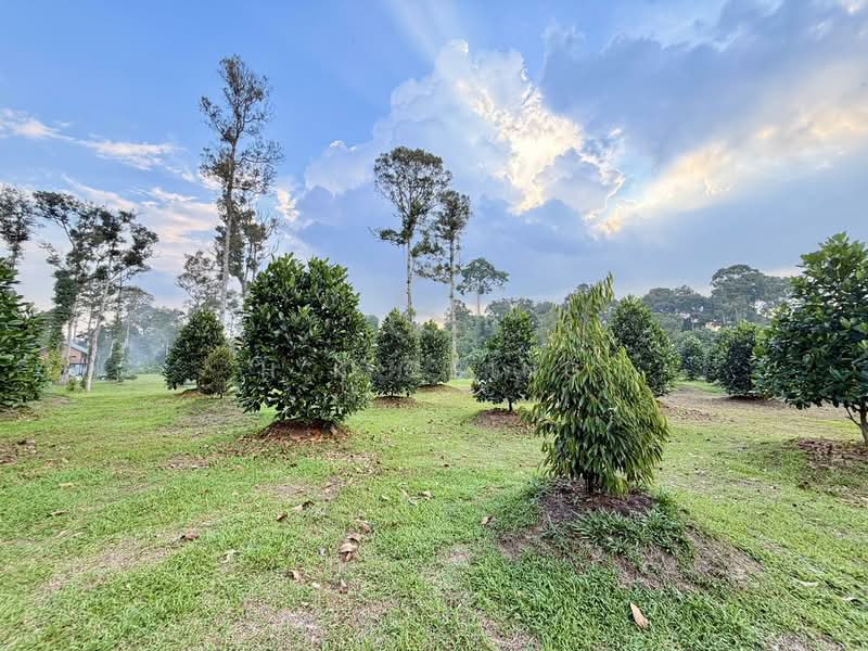 Tanah Pertanian untuk Dijual di Batang Kali (Rawang) - H.K Ching - Garden - PropertyGuru.com.my
