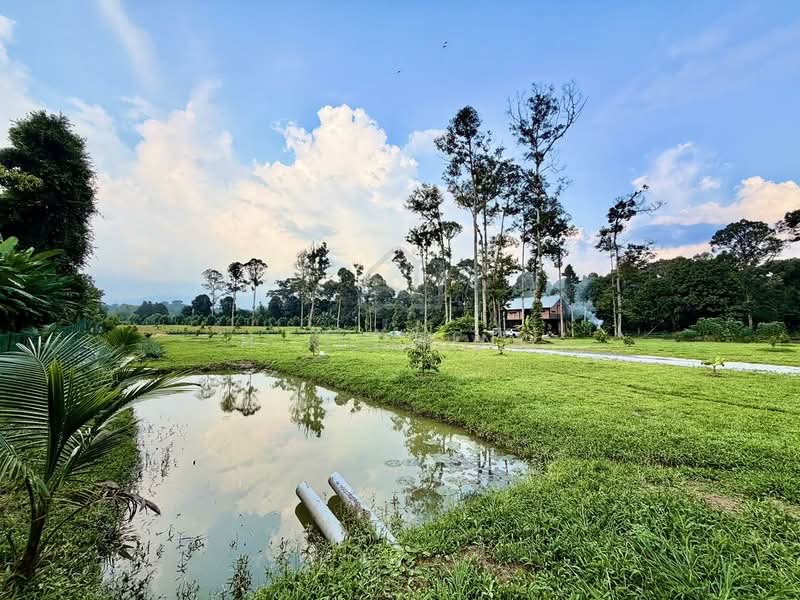 Tanah Pertanian untuk Dijual di Batang Kali (Rawang) - H.K Ching - Exterior - PropertyGuru.com.my
