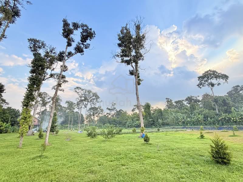 Tanah Pertanian untuk Dijual di Batang Kali (Rawang) - H.K Ching - Garden - PropertyGuru.com.my