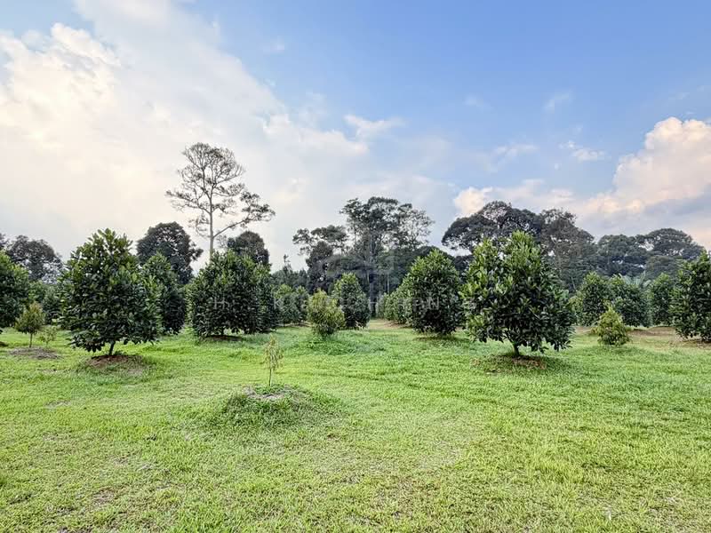 Tanah Pertanian untuk Dijual di Batang Kali (Rawang) - H.K Ching - Garden - PropertyGuru.com.my