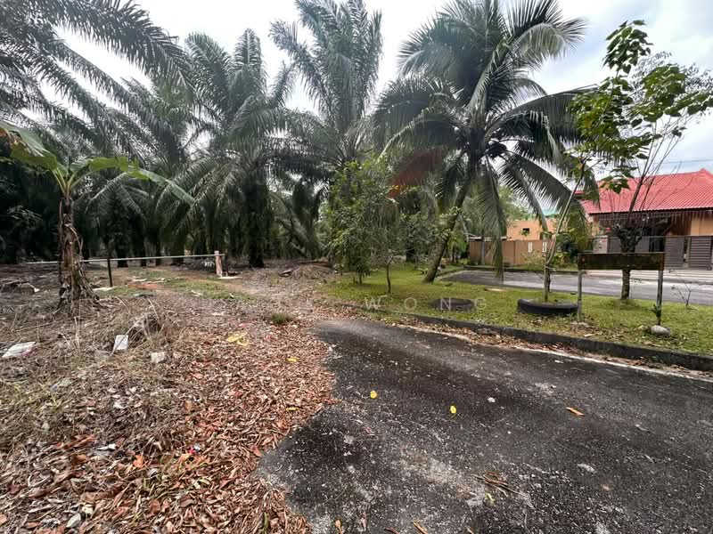 Tanah Pertanian untuk Dijual di Skudai (Johor) - Jack Wong - Exterior - PropertyGuru.com.my