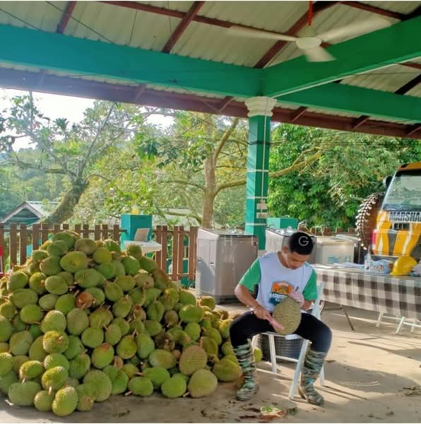 Agricultural Land for Sale in Melaka (Melaka City) - H.K Ching - PropertyGuru.com.my