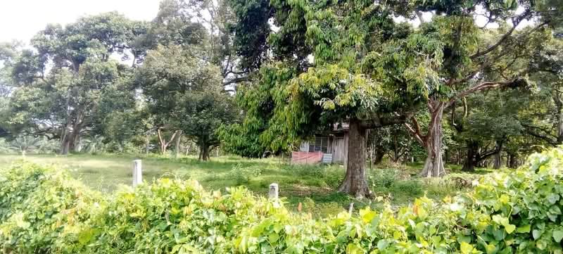 Agricultural Land for Sale in Melaka (Melaka City) - H.K Ching - PropertyGuru.com.my