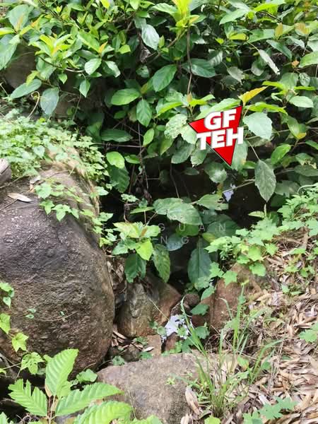 Agricultural Land for Sale in Kuala Kangsar (Perak) - Teh Guan Fong - PropertyGuru.com.my