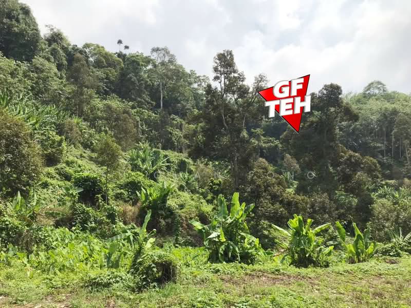 Agricultural Land for Sale in Kuala Kangsar (Perak) - Teh Guan Fong - Exterior - PropertyGuru.com.my