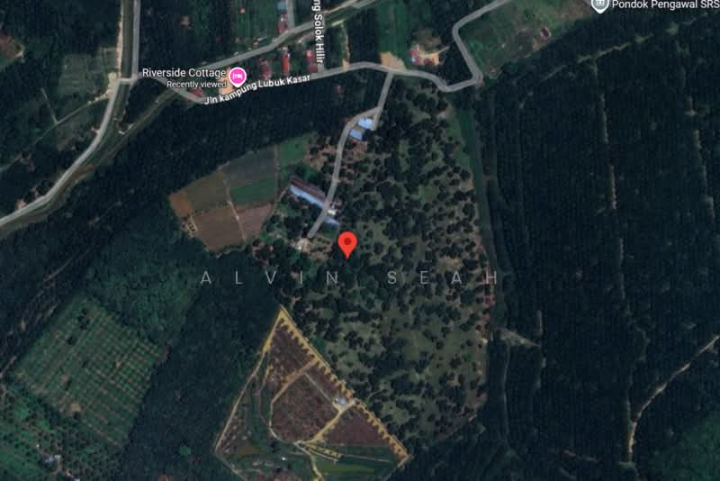 Agricultural Land for Sale in Bemban (Melaka) - Alvin Seah - PropertyGuru.com.my
