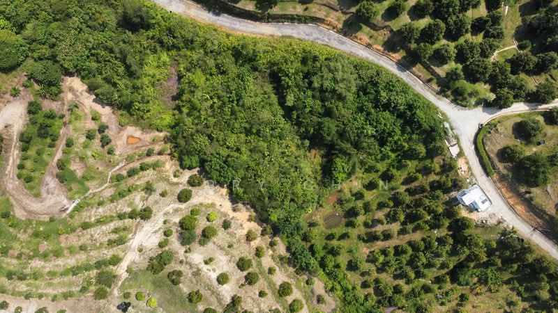 Tanah Pertanian untuk Dijual di Bentong (Pahang) - Harry Chin - Garden - PropertyGuru.com.my