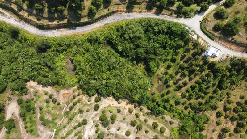 Tanah Pertanian untuk Dijual di Bentong (Pahang) - Harry Chin - Exterior - PropertyGuru.com.my
