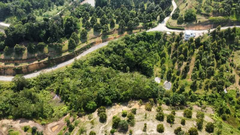 Tanah Pertanian untuk Dijual di Bentong (Pahang) - Harry Chin - Exterior - PropertyGuru.com.my