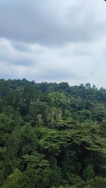 Condominium for Sale at Rimba Residence - Yik Chan - Exterior - PropertyGuru.com.my
