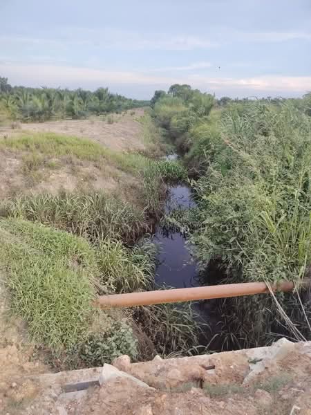 Tanah Perindustrian untuk Dijual di Tanjung Dua Belas (Jenjarom) - Evelyn Khoo - Exterior - PropertyGuru.com.my