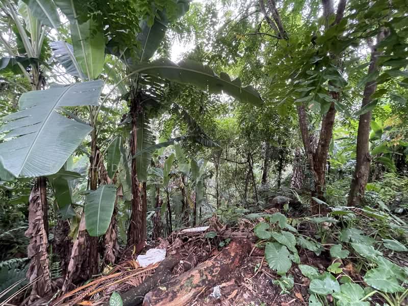 Tanah Kediaman untuk Dijual di Bukit Gasing (Petaling Jaya) - Mohd Aizat Saiful Bahri - Garden - PropertyGuru.com.my