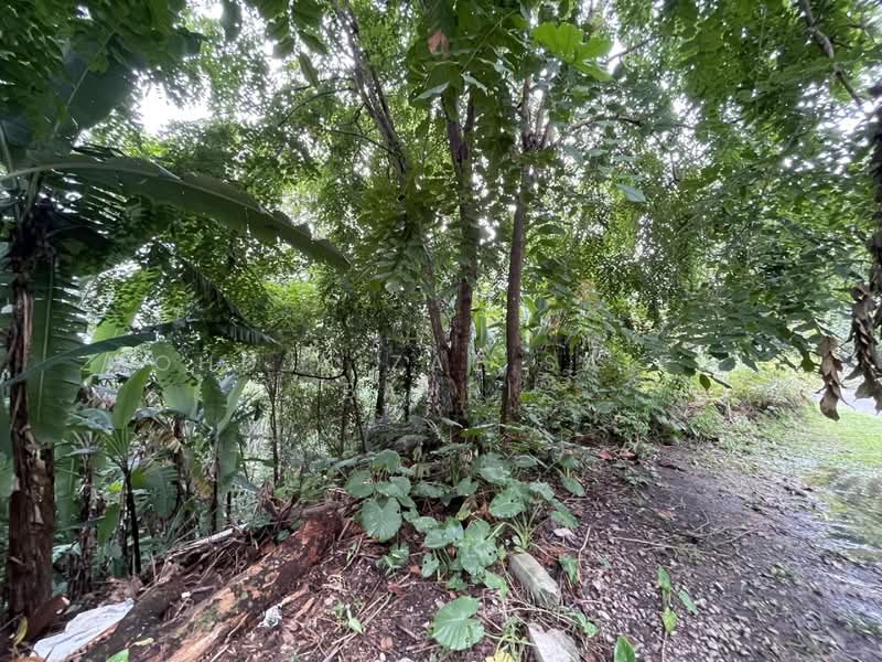 Tanah Kediaman untuk Dijual di Bukit Gasing (Petaling Jaya) - Mohd Aizat Saiful Bahri - Exterior - PropertyGuru.com.my