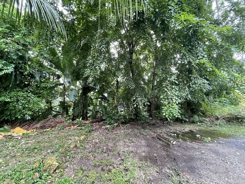 Tanah Kediaman untuk Dijual di Bukit Gasing (Petaling Jaya) - Mohd Aizat Saiful Bahri - Exterior - PropertyGuru.com.my