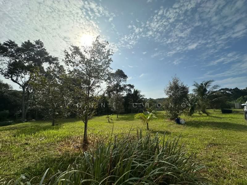 Agricultural Land for Sale in Sungai Tiram (Ulu Tiram) - Yvonne Chong - PropertyGuru.com.my