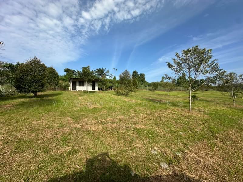 Agricultural Land for Sale in Sungai Tiram (Ulu Tiram) - Yvonne Chong - PropertyGuru.com.my