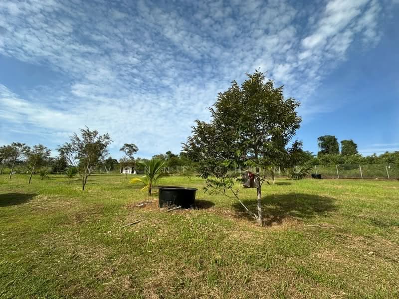 Agricultural Land for Sale in Sungai Tiram (Ulu Tiram) - Yvonne Chong - PropertyGuru.com.my