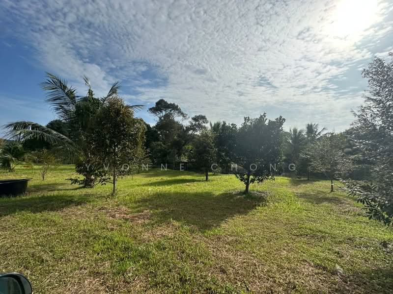 Agricultural Land for Sale in Sungai Tiram (Ulu Tiram) - Yvonne Chong - PropertyGuru.com.my