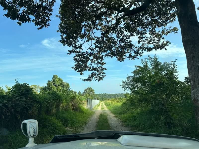 Agricultural Land for Sale in Sungai Tiram (Ulu Tiram) - Yvonne Chong - PropertyGuru.com.my