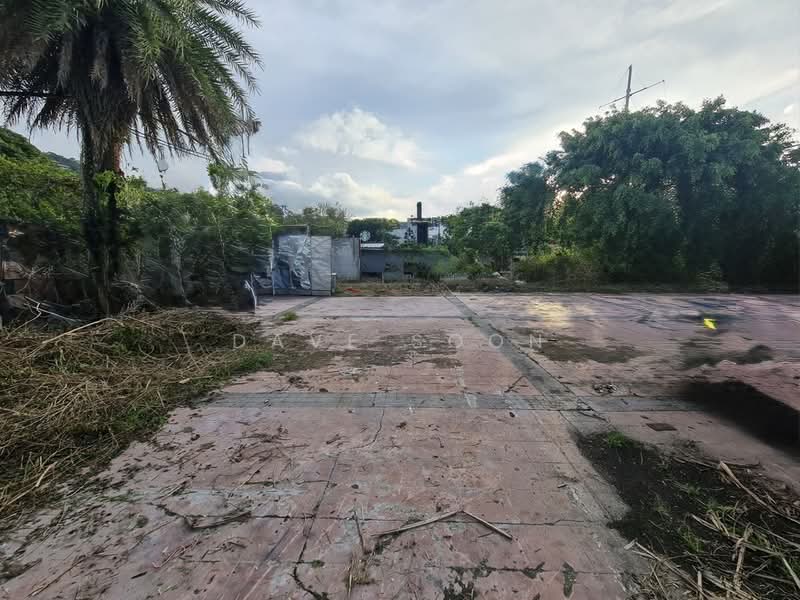 Commercial Land for Rent in Batu Ferringhi (Batu Ferringhi) - Dave Soon - PropertyGuru.com.my