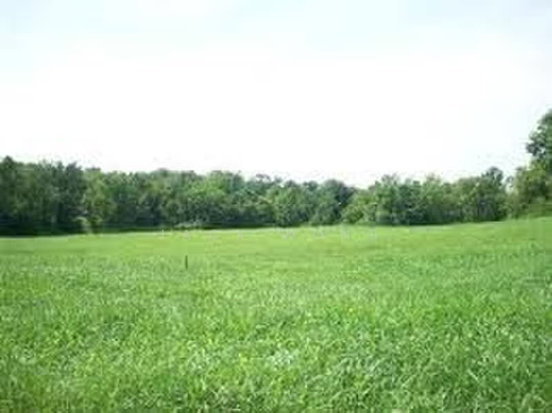 Commercial Land for Sale in Subang Jaya (Selangor) - Jack Wong - Exterior - PropertyGuru.com.my