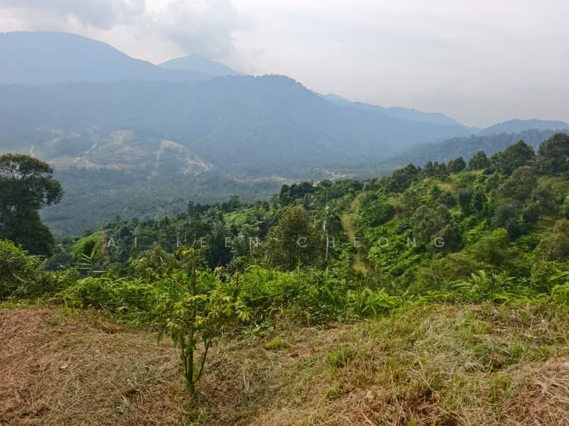 Agricultural Land for Sale in Ulu Yam (Selangor) - Ai Leen Cheong - PropertyGuru.com.my