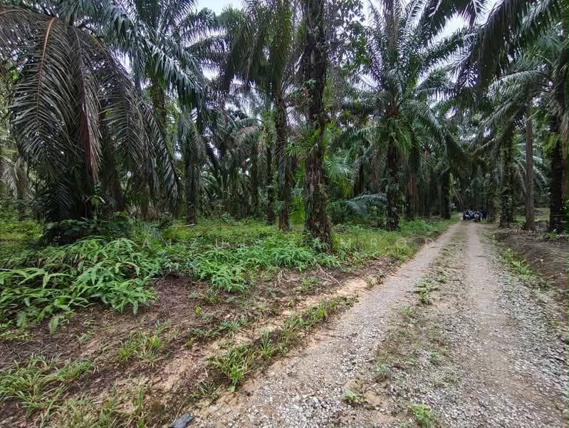 Agricultural Land for Sale in Bentong (Pahang) - Faizul Zamrod - Exterior - PropertyGuru.com.my