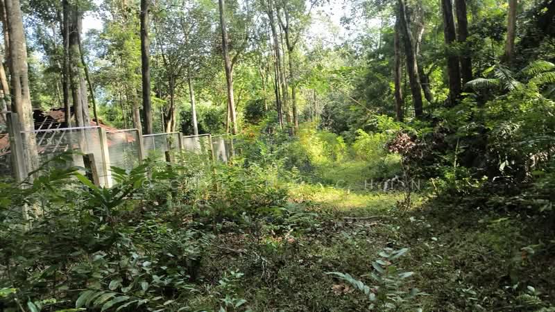 Commercial Land for Rent in Kuantan (Pahang) - Joceline Chin - Exterior - PropertyGuru.com.my