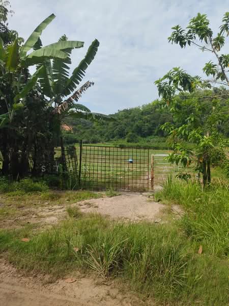 Agricultural Land for Sale in Serendah (Selangor) - Stanley Yap - Exterior - PropertyGuru.com.my