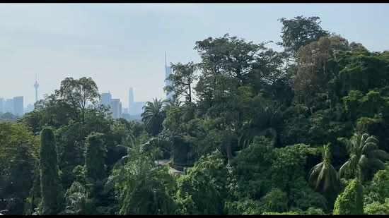 Kondominium untuk Disewa di 10 Semantan Suites - Thoriq Suparman - PropertyGuru.com.my