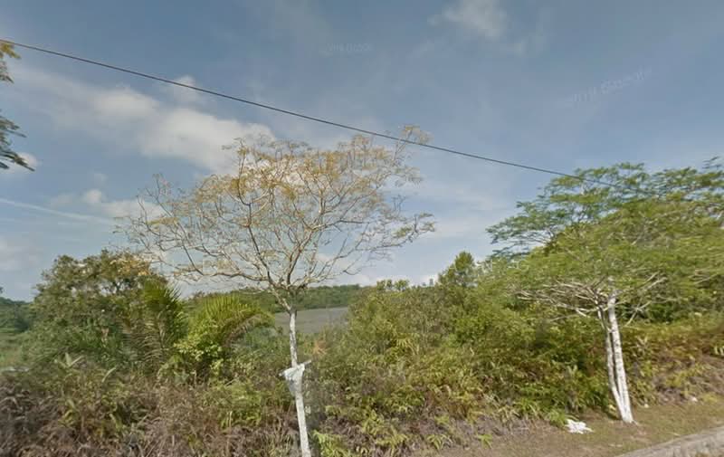 Agricultural Land for Rent in Senai (Johor) - Lesley Siang - Exterior - PropertyGuru.com.my