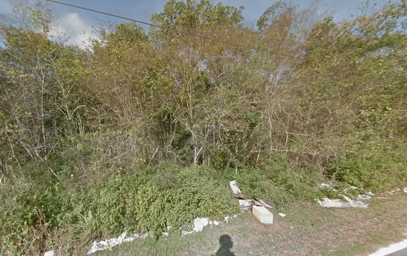 Agricultural Land for Rent in Senai (Johor) - Lesley Siang - PropertyGuru.com.my