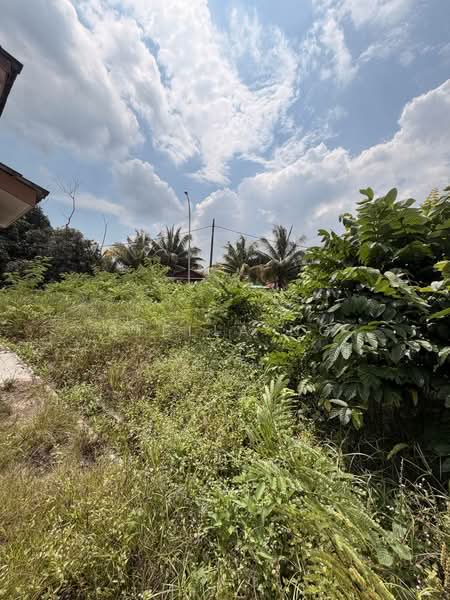 Rumah Teres 2 Tingkat untuk Dijual di Taman Nusantara (Iskandar Puteri (Nusajaya)) - Stella Ng - Exterior - PropertyGuru.com.my
