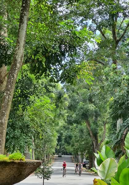 Condominium for Rent at Town Villias @ Bukit Gita Bayu - Teresa Law - PropertyGuru.com.my
