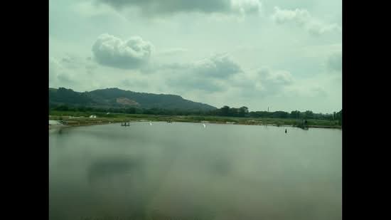 Agricultural Land for Sale in Batu Pahat (Johor) - Lau Ee Xuan - PropertyGuru.com.my