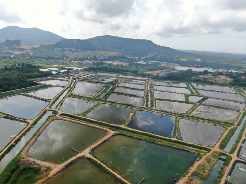 Agricultural Land for Sale in Batu Pahat (Johor) - Lau Ee Xuan - Exterior - PropertyGuru.com.my