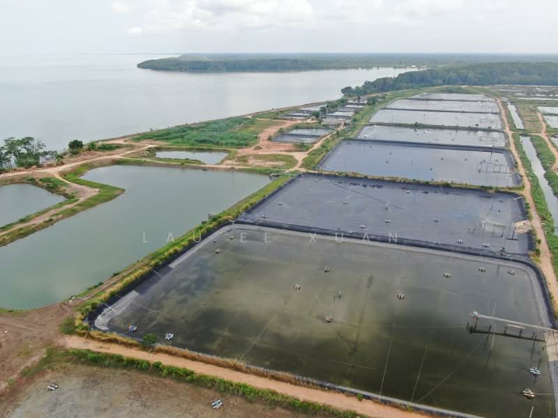 Agricultural Land for Sale in Batu Pahat (Johor) - Lau Ee Xuan - Exterior - PropertyGuru.com.my