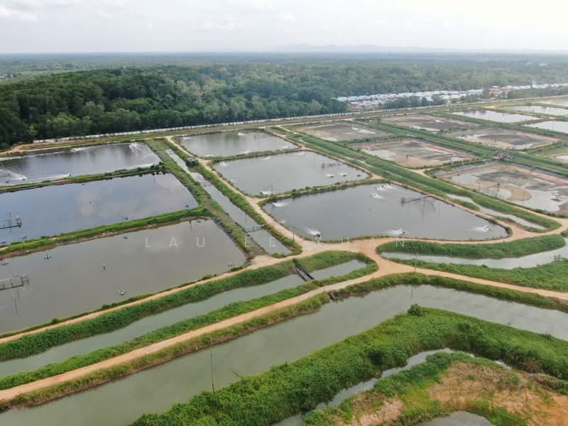 Agricultural Land for Sale in Batu Pahat (Johor) - Lau Ee Xuan - Exterior - PropertyGuru.com.my