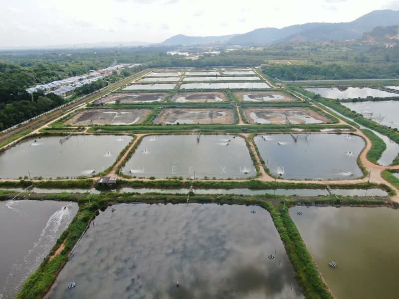 Agricultural Land for Sale in Batu Pahat (Johor) - Lau Ee Xuan - Exterior - PropertyGuru.com.my