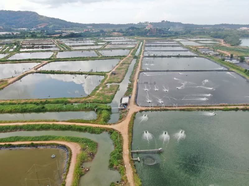 Agricultural Land for Sale in Batu Pahat (Johor) - Lau Ee Xuan - Exterior - PropertyGuru.com.my